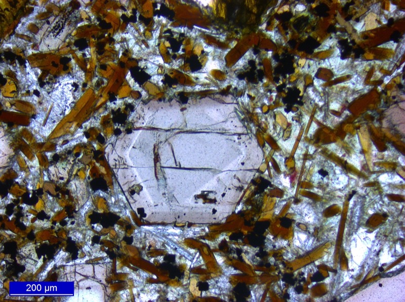 A magma crystal before being lasered and analysed.