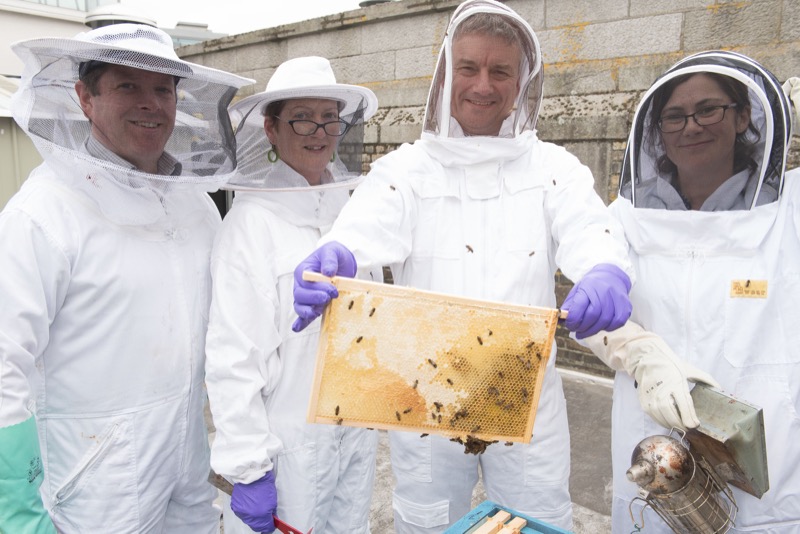 Pictured with some of Trinity’s newest residents (from left to right) are: Beekeepers Marcus Phelan and Susie Bioletti, Provost, Dr Patrick Prendergast, and Professor in Botany, Jane Stout, all of Trinity College Dublin. The 'bee smoker' safely calms the bees when they are around people.