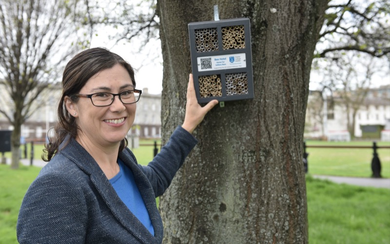 Professor in Botany, Jane Stout, with one of the newly installed bee hotels.