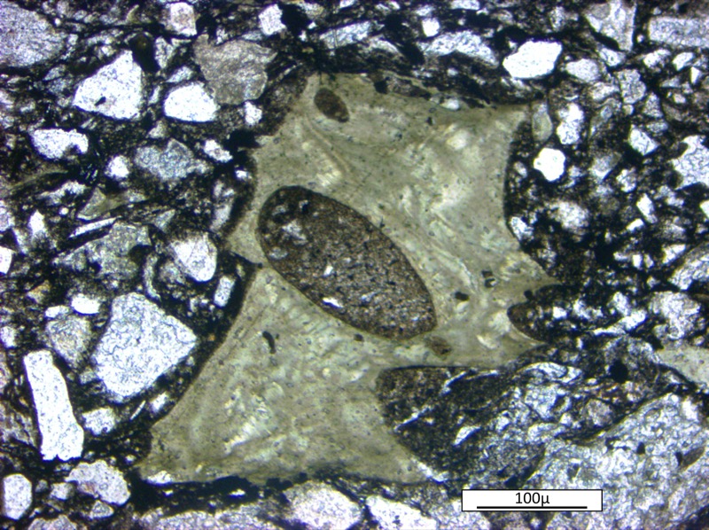Photomicrograph of a vesicular green shard from the Onaping Formation of the Sudbury impact basin. Image credit: Paul Guyett, Trinity College Dublin.