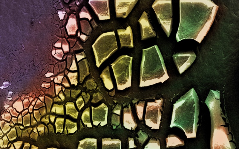 This Scanning Electron Microscope (SEM) image shows a gel-like material (xerogel) after it has been dried out, which resembles a dried-out river. Credit: Eoin McCarney.