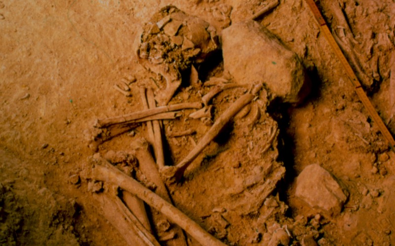 Archaeological remains of individual MC337 excavated from the site of Hipogeu de Monte Canelas I, Portugal, and analysed by the archaeologist Rui Parreira and the anthropologist Ana Maria Silva. Image credit: Rui Parreira.