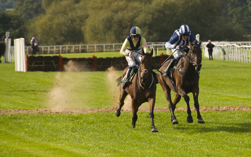 Image credit: 'Two horses running side by side