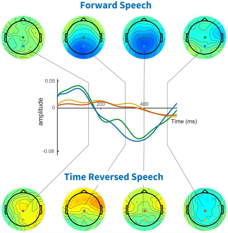  Image caption: When a listener understands speech, a strong response signal is seen over the mid back part of their scalp (top row; blue and green waveforms show response at two specific recording locations). When they can't understand (because, for example, the speech is played backwards), the signal completely disappears (bottom row; red and yellow waveforms show the lack of response at the sam