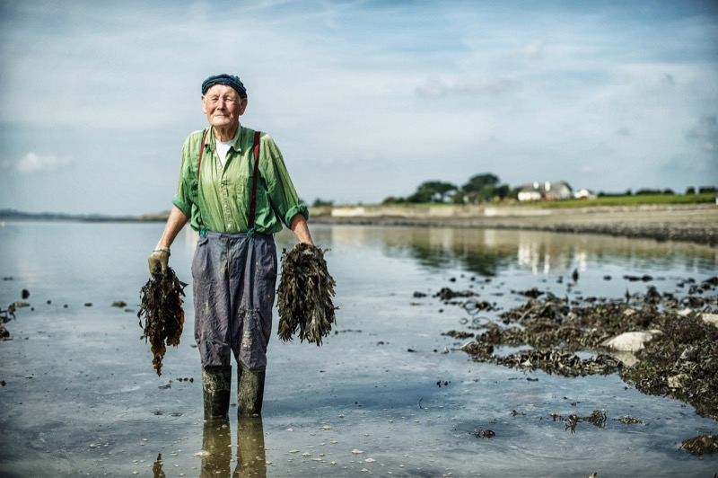 His winning image depicts Mr Paddy Hanrahan collecting seaweed as fertiliser for his garden near Cappa, Kilrush, Co. Clare. Image credit: John Kelly (John Kelly Photography).