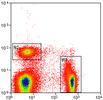 Flow cytometry image of two different populations of fluorescently-labeled t cells.