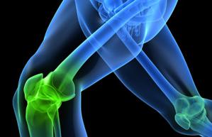 Knee joint