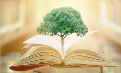 ESD Sustainability