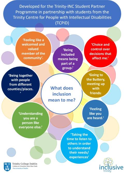 TCPID What Inclusion Means to Me - Poster