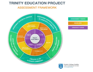 Trinity Assessment Framework