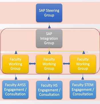 SAP steering group graph