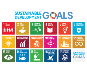 Sustainability Goals