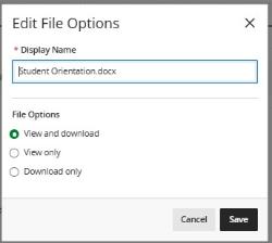 Edit File Options