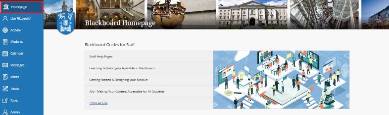 Homepage - Insititution Page
