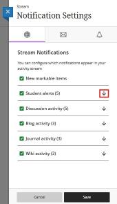 Activity Stream Notification