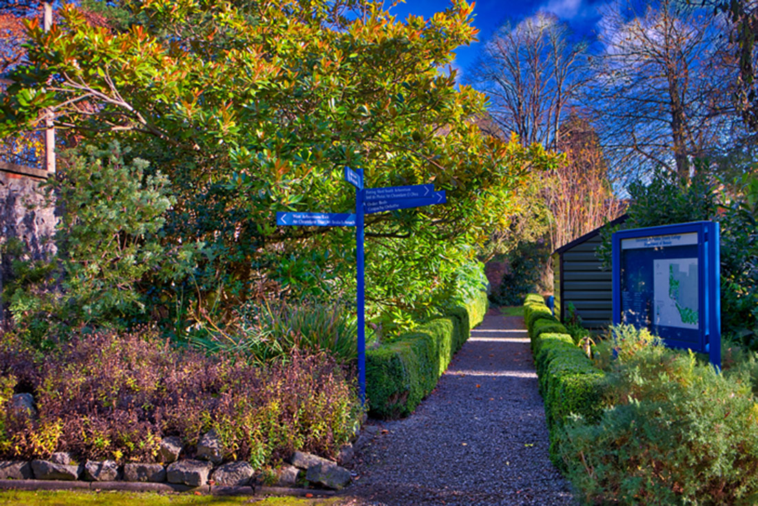 Garden of the School of Botany in Autumn