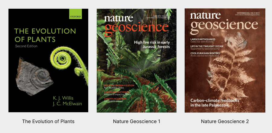 Image showing 3 covers of publications: Nature Geoscience, Nature Geoscience and Evolution of Plants