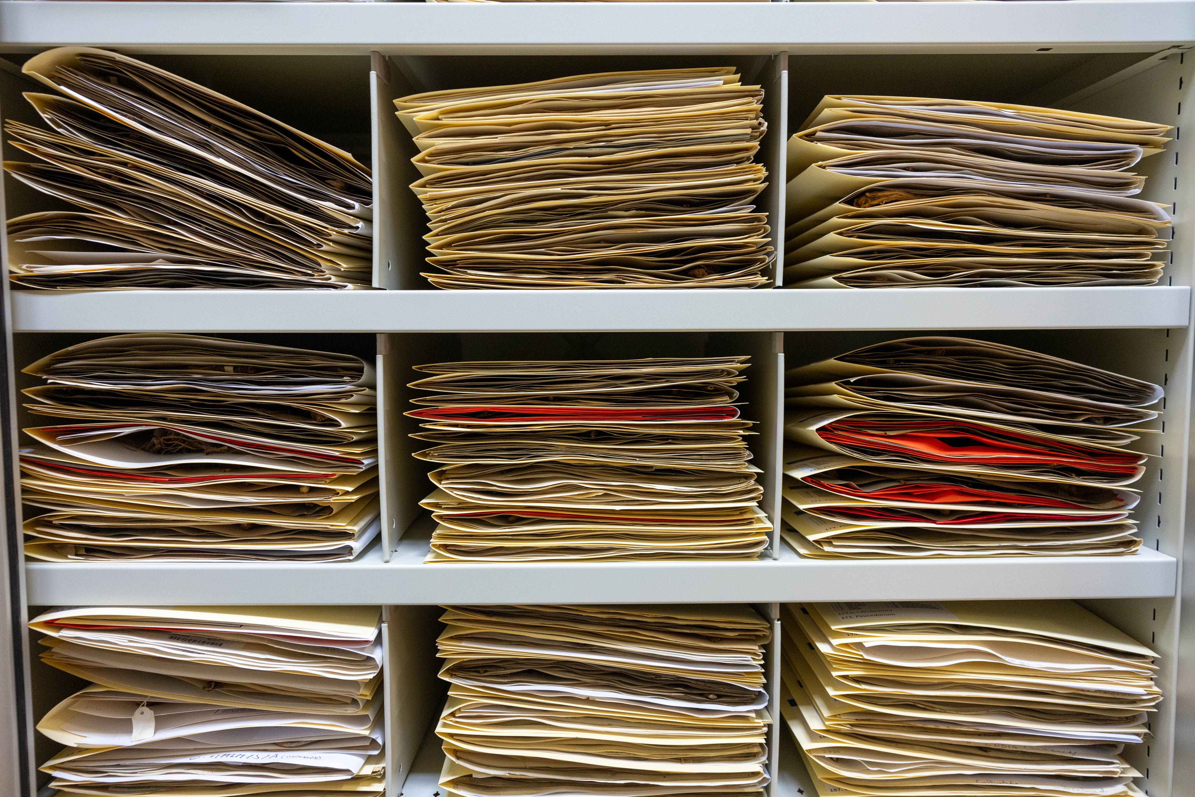 Herbarium Filing system