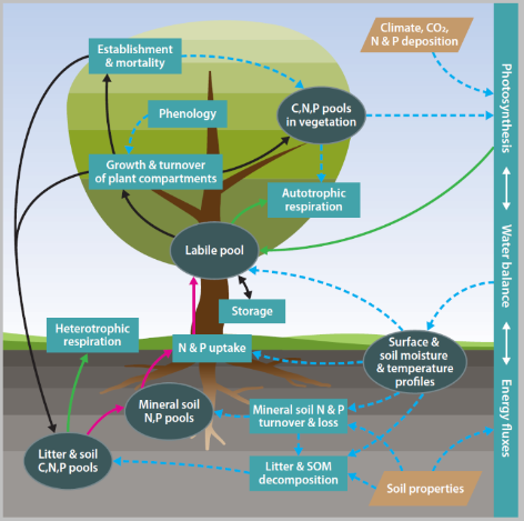 Colourful Graphic of the Quincy Model Schematic