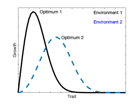 graph showing optimality of research
