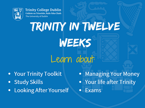 Trinity in 12 weeks banner