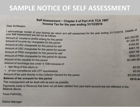 Sample Notice of Self Assessment