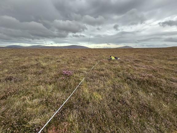 Large wild field with researcher holding a measuring tape across the expanse of field. Cloudy sky and pink flowers, researcher in hi-vis jacket