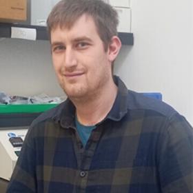 Andrea Pierozzi, Geology TCD