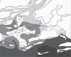End-Triassic extinction graphic