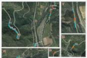Assessment of natural radioactivity and radon release potential of silurian black shales