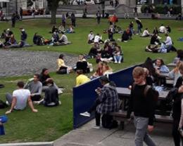 Fellows Square TCD