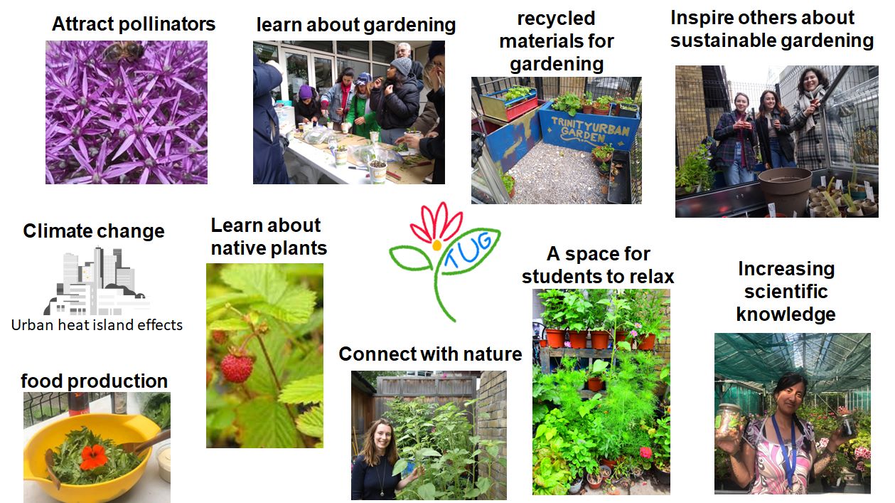 Urban Garden Year