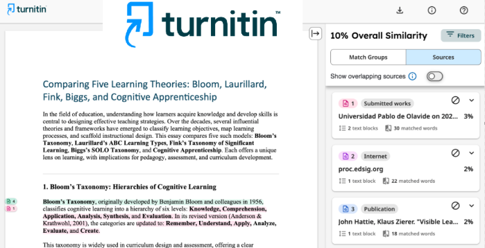 Turnitin Similarity Report