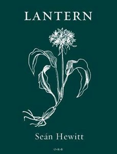 Lantern Sean Hewitt