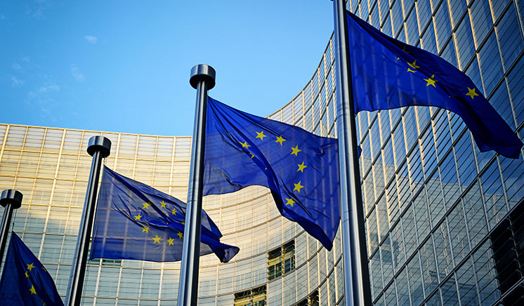 EU flags