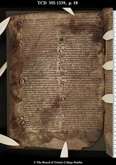 Book of Leinster, MS 1339, Trinity College Dublin