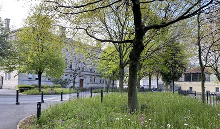 Wildflowers Pavilion Bar Trinity College Dublin