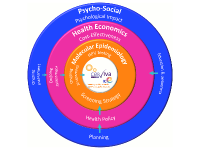 A chart with information about Cerviva