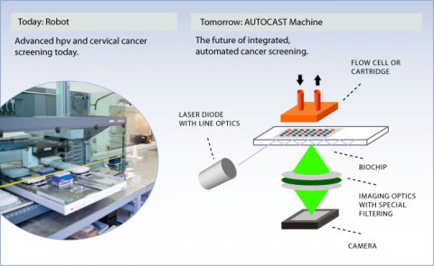 autocast workflow