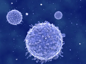 infection cells