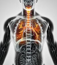 Human Health and Disease image
