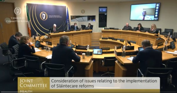Photo from Oireachtas health committee