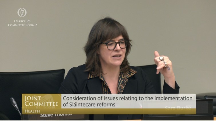 Photo of Sara Burke at Oireachtas committee hearing