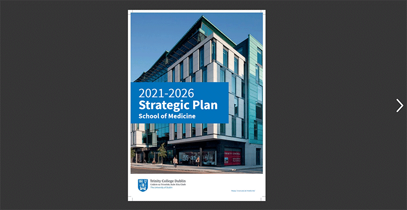 School Strategy