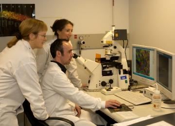 cell-signalling-5