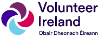 Volunteer Ireland Logo