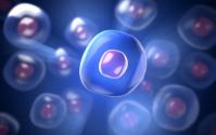 A close up of a section of a cell