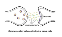 Neve signal, ADHD