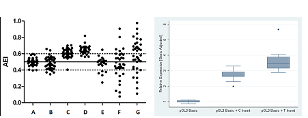Functional Variation Research diagram