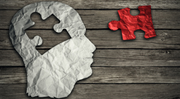 brain and the missing puzzle